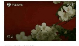 上位娱乐圈最真实的爆料,揭秘明星背后的真实生活